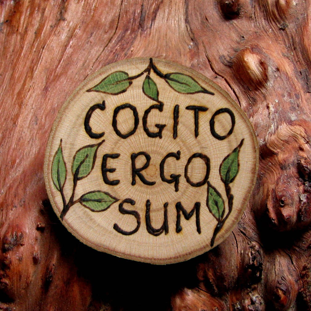Cogito Ergo Sum Latin 15