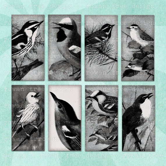printable-collage-sheet-black-white-birds-1x2in-domino-tile