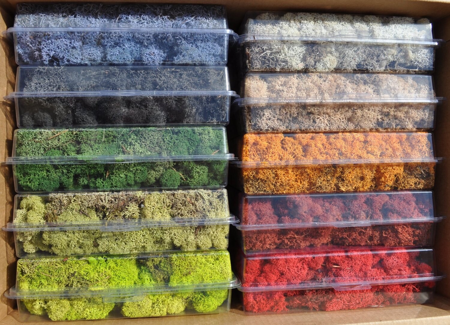 Reindeer moss-1 oz bag in your color choice-Deer by teresab123