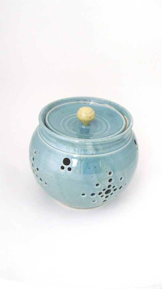 Large Onion Keeper// Garlic Keeper// Garlic Jar in Robins Egg