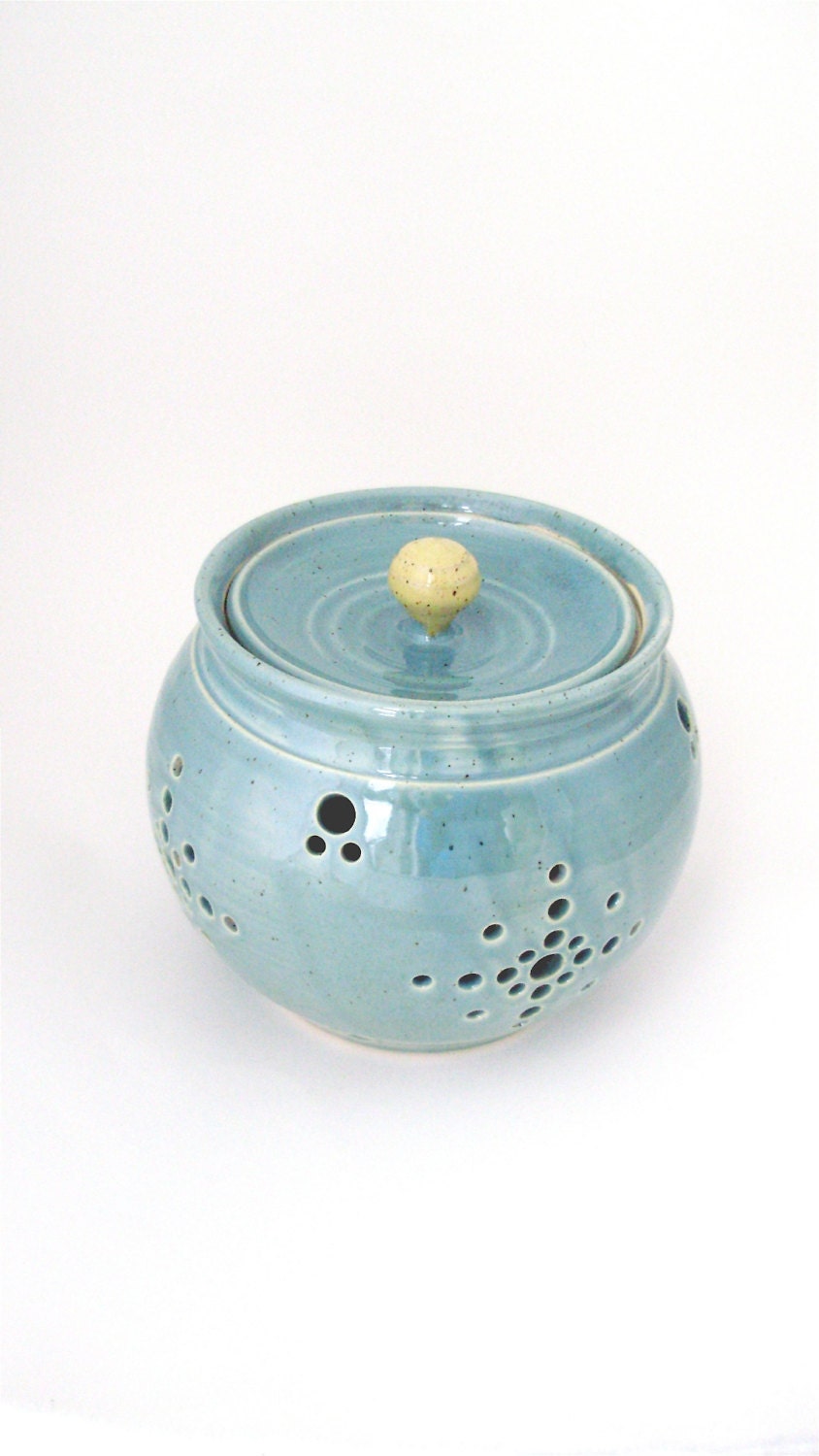 Large Onion Keeper// Garlic Keeper// Garlic Jar in Robins Egg