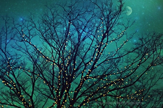 items similar to nature photograph quot magical night quot twinkle items similar to nature photograph quot magical night quot twinkle