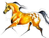 Buckskin Appaloosa Horse Art Painting Print Jill Claire Original