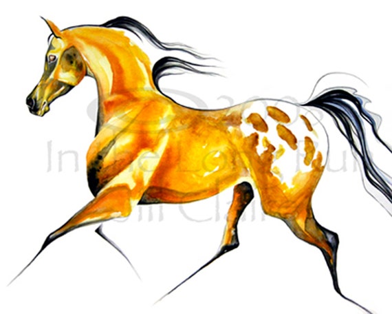 Buckskin Appaloosa Horse Art Painting Print Jill by JillClaireArt