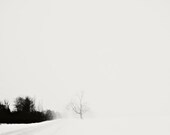 Winter photography 8x8 winter photo snow bokeh wall art nature fine art tree photo winter art modern art