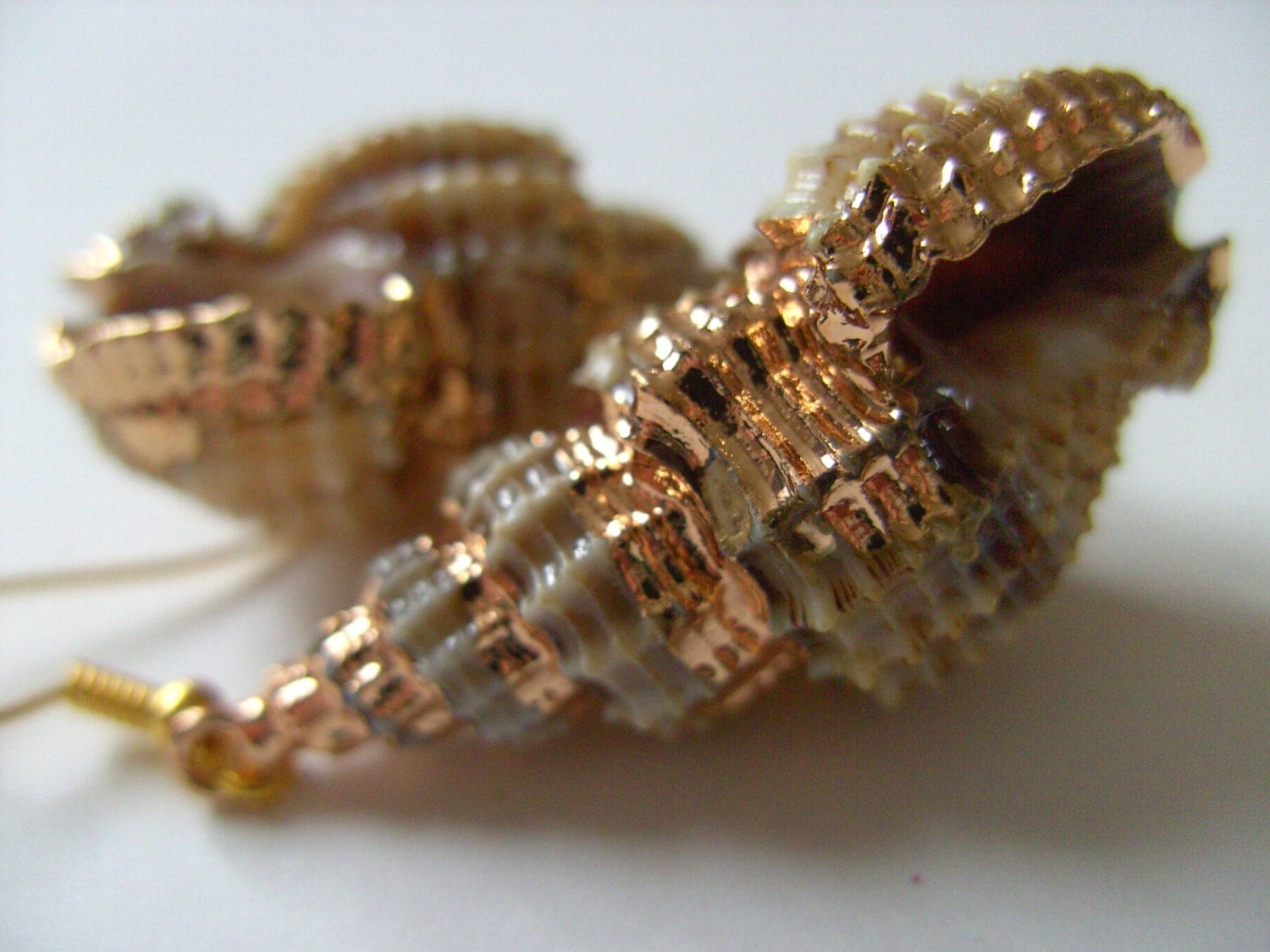 Gorgeous SHELL earrings golden trim cream and by NewellsJewels