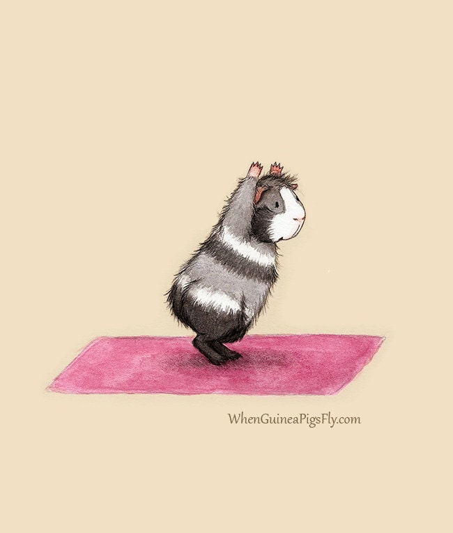 Guinea Pig Yoga Chair Pose Yoguineas Collection Cute Yoga