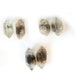 One of a Kind Rare Black and White Quartz Crystal Earrings