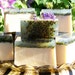 Chamomile & Lavender Herbal Quintet Butter Soap 6 oz. Bar
