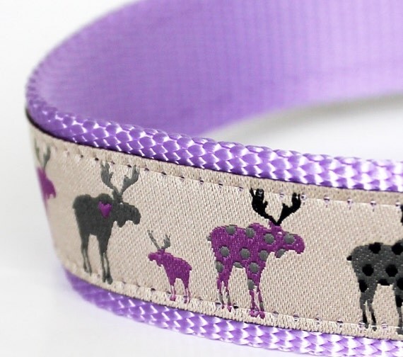 Purple Moose Dog Collar