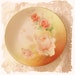Vintage Porcelain Hand Painted Plate Marked