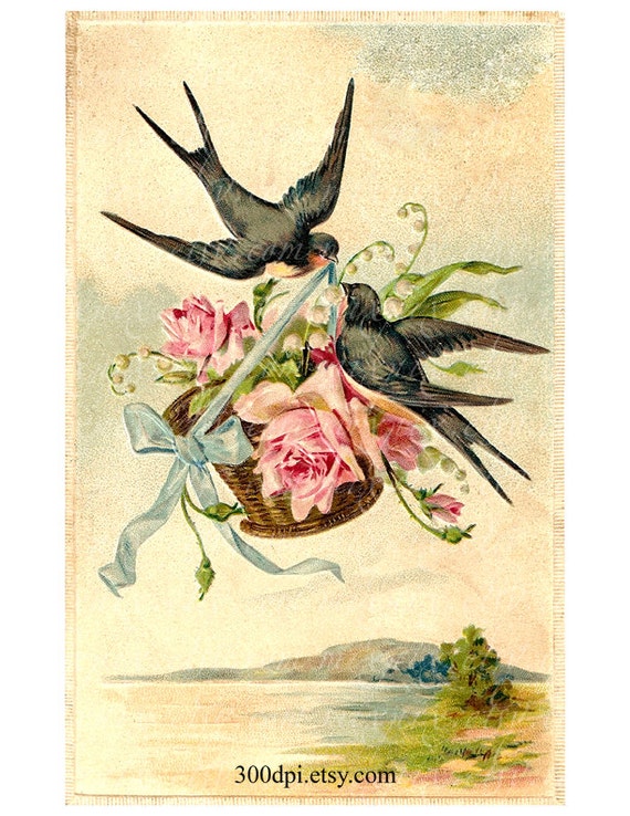 Vintage Bird Postcard 76