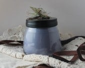 Nantucket Hydrangea Scented Handpoured 4oz Pure Soy Candle Jar with Black Metal Lid-Up On The Roof Farm Vermont