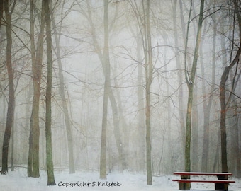 Misty Tree Landscape Photograph Empty Bench Snow Foggy Trees Forest Lovely Mist and Light Wall Decor 10x8