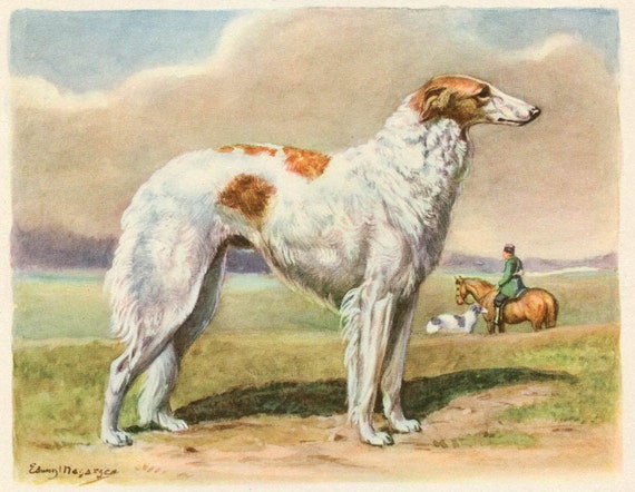 Borzoi Vintage Illustration Russian Wolfhound Dog Print Edwin Megargee 1940's Dog Art Original Wall Decor