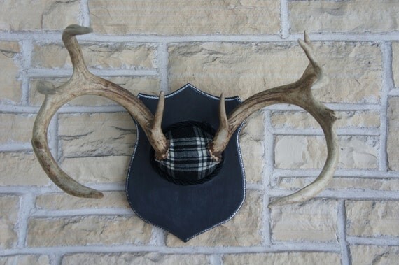 Vintage Deer Antler Mount with Chalkboard Paint and Black Plaid Unique Taxidermy Woodland Wall Art