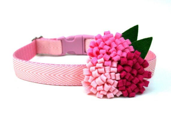 Light Pink Dog Collar 3/4 Flower Dog Collar by Wagologie on Etsy