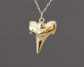 Small Gold Shark Tooth Necklace also in Silver