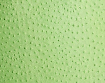 Patte Green Ostrich Embossed Cowhide Leather Pre-Cut