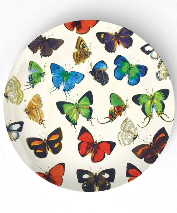 Butterfly group I 0n 10 inch Melamine Plate by TheMadPlatters