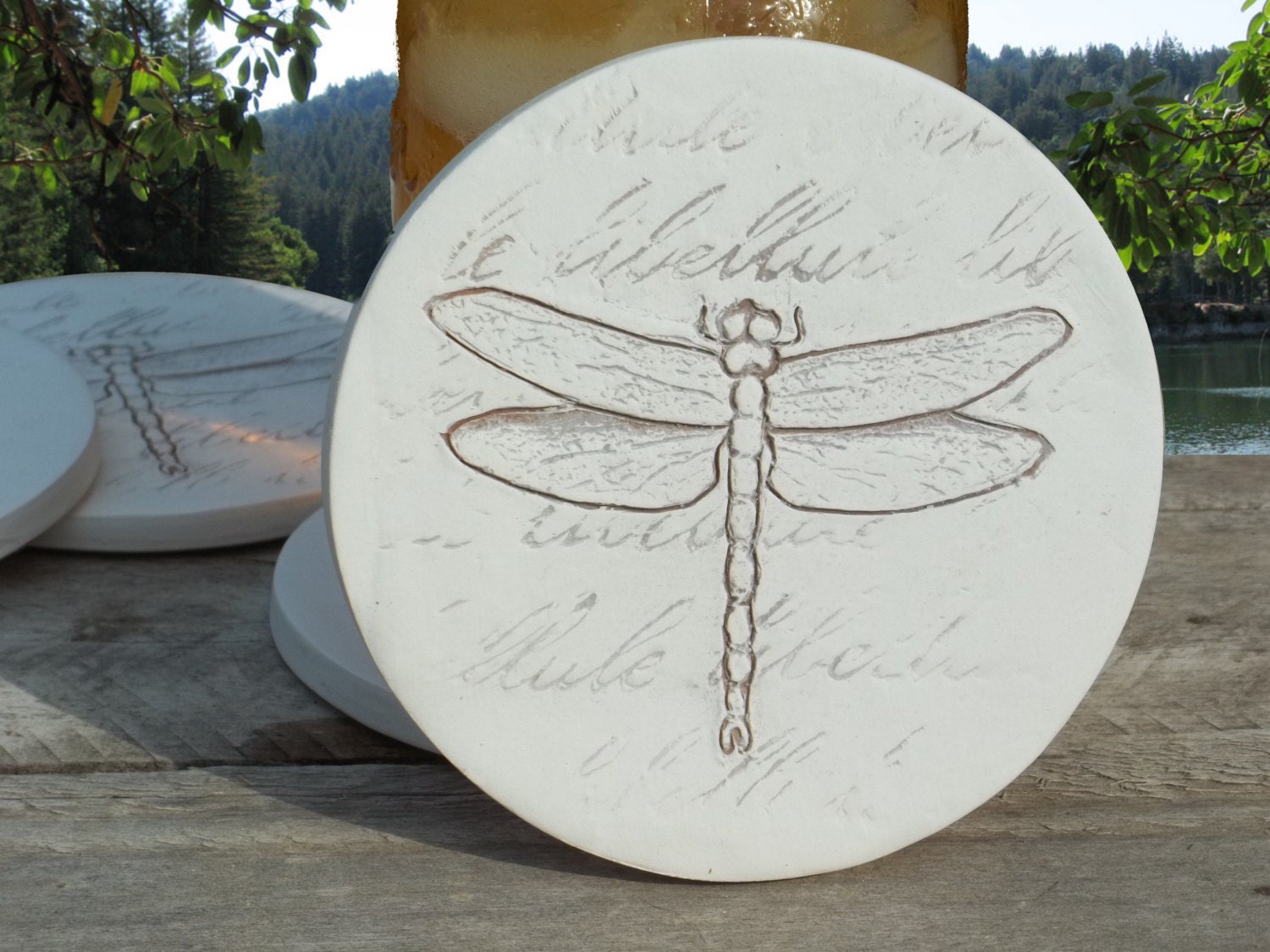 Dragonfly absorbent clay drink coasters SET OF 4 by ShayneMcCarter