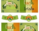 SALE Printable St Patricks day Beer Soda Bottle Labels Il_170x135
