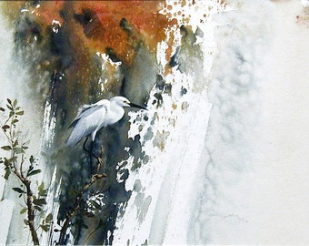 Snowy Egret by Morten E Solberg