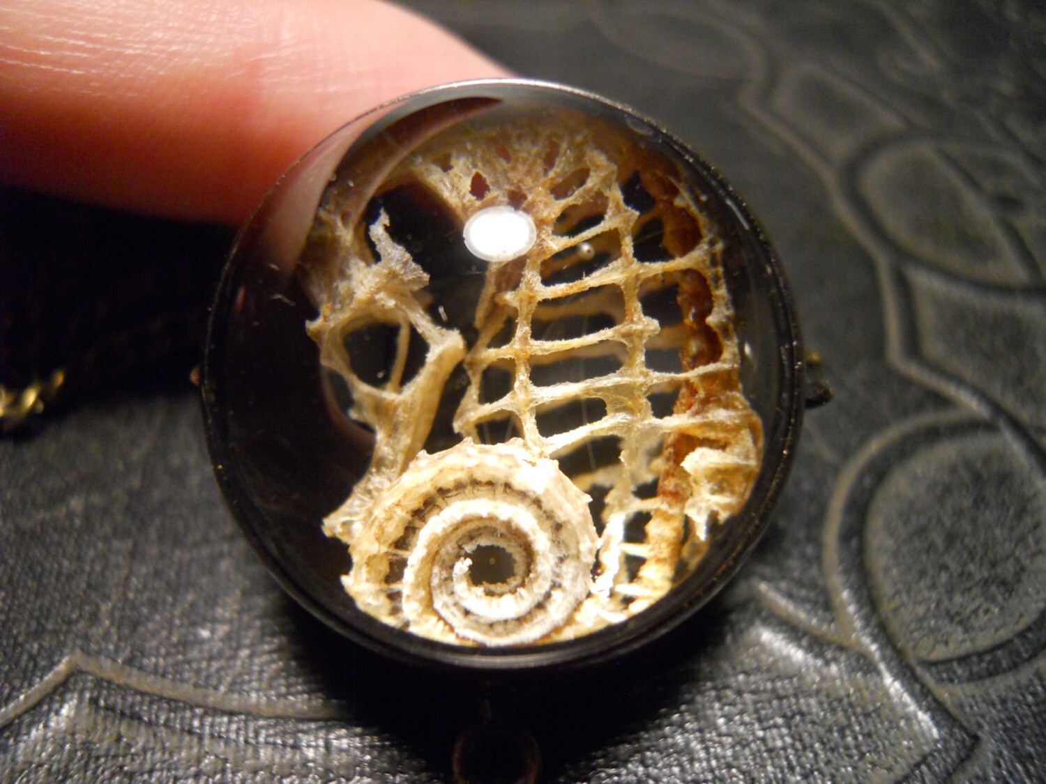 ZOMBIE Seahorse Ossuary Mermaids Orb Necklace by TheCuriositeer