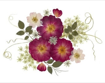 Set of 6 Pressed Flower Cards - Roses - Notecards - #083