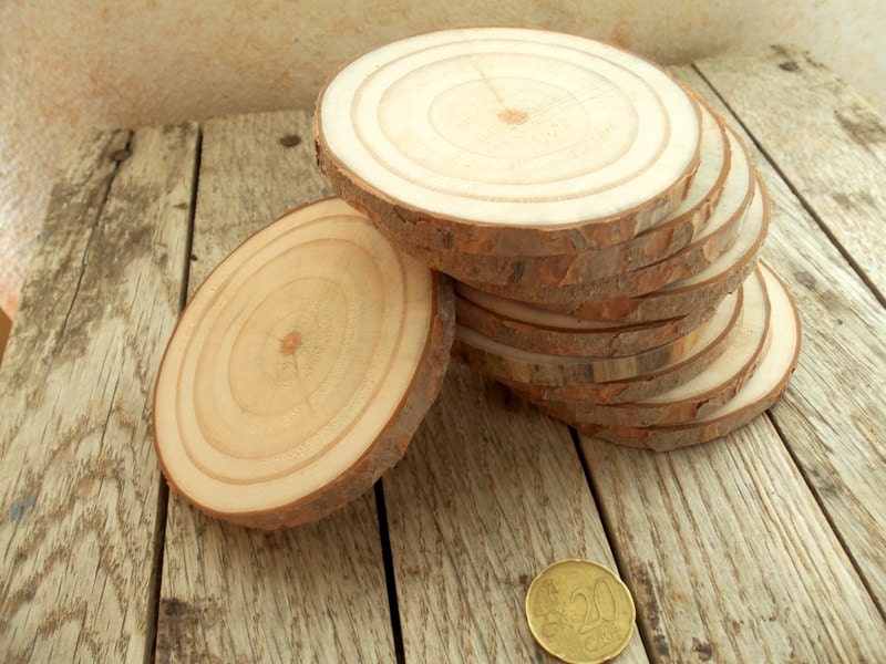 10 Light Sanded Blank Red Pine Tree Branch Slices DIY