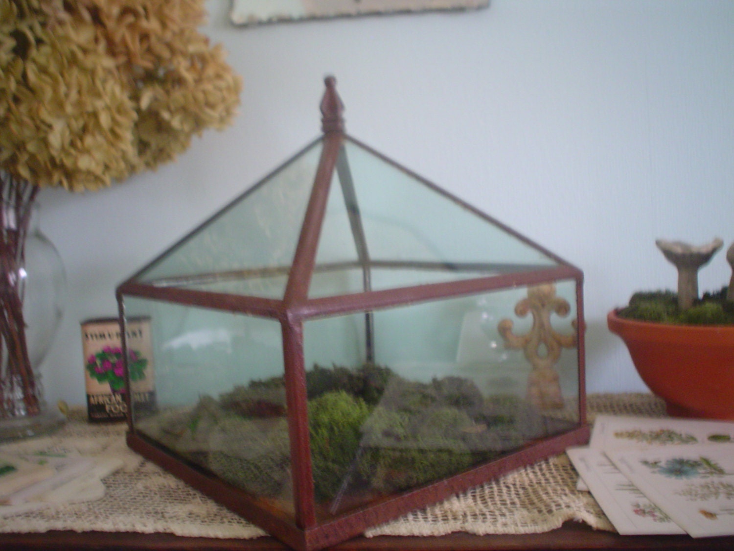 Glass and metal terrarium