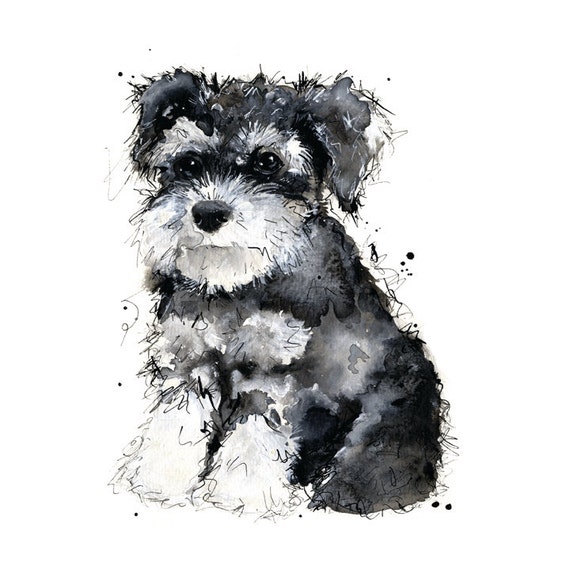 Miniature Schnauzer Puppy Print of by NatalieIllustrations