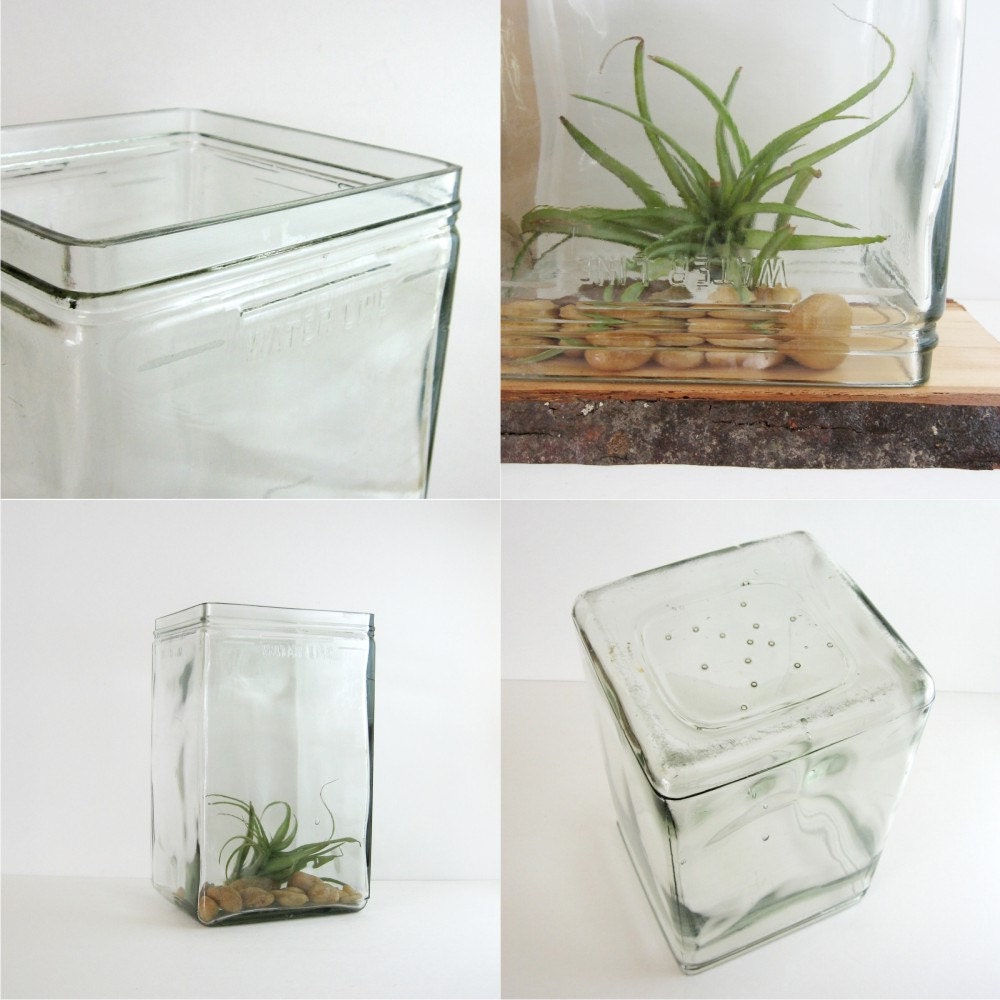 Vintage Glass Battery Jar Industrial Decor Large Terrarium