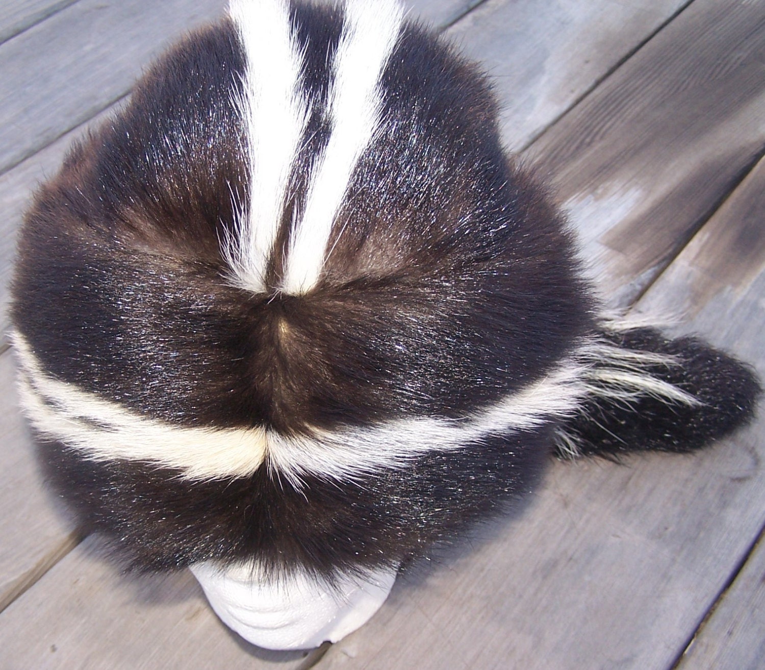 Real skunk fur hat by Mariesfurs on Etsy