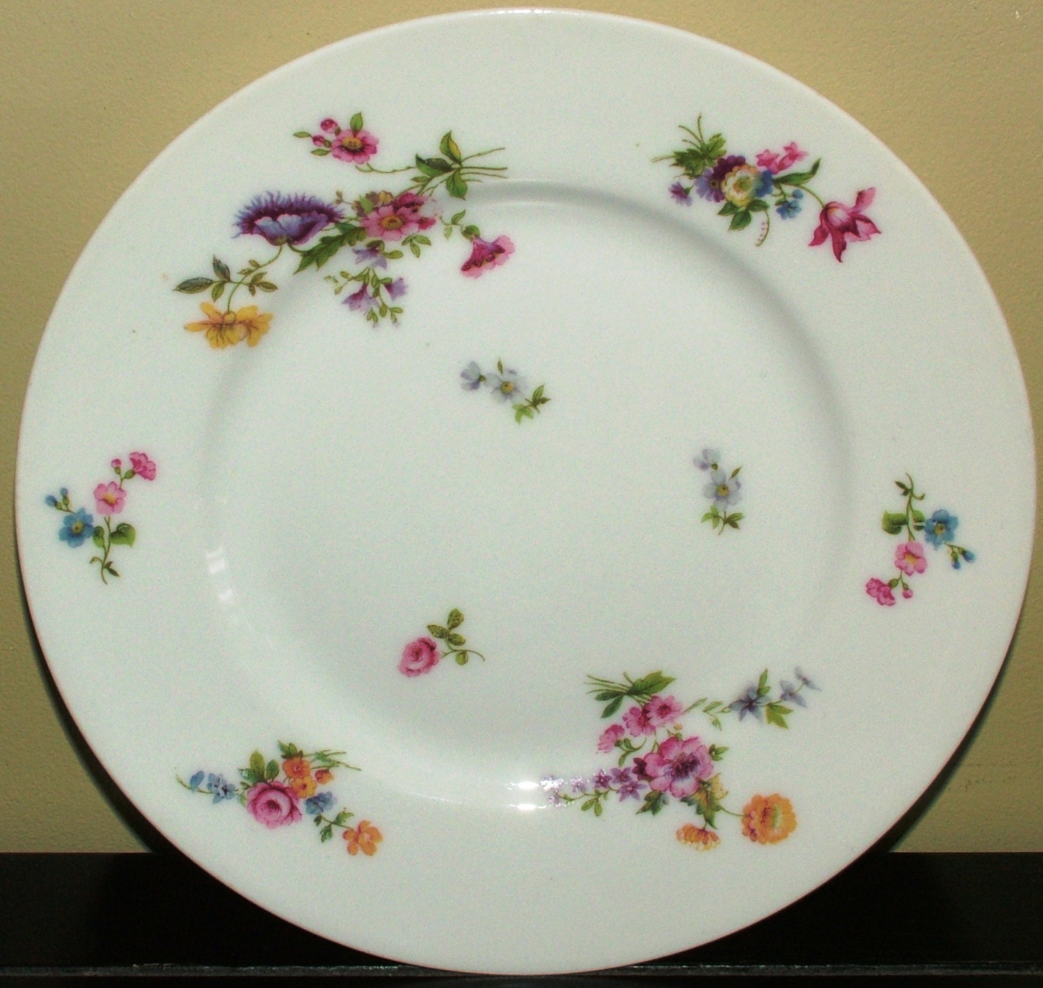 Vintage Plate Limoges plate France plate by B C Limoges