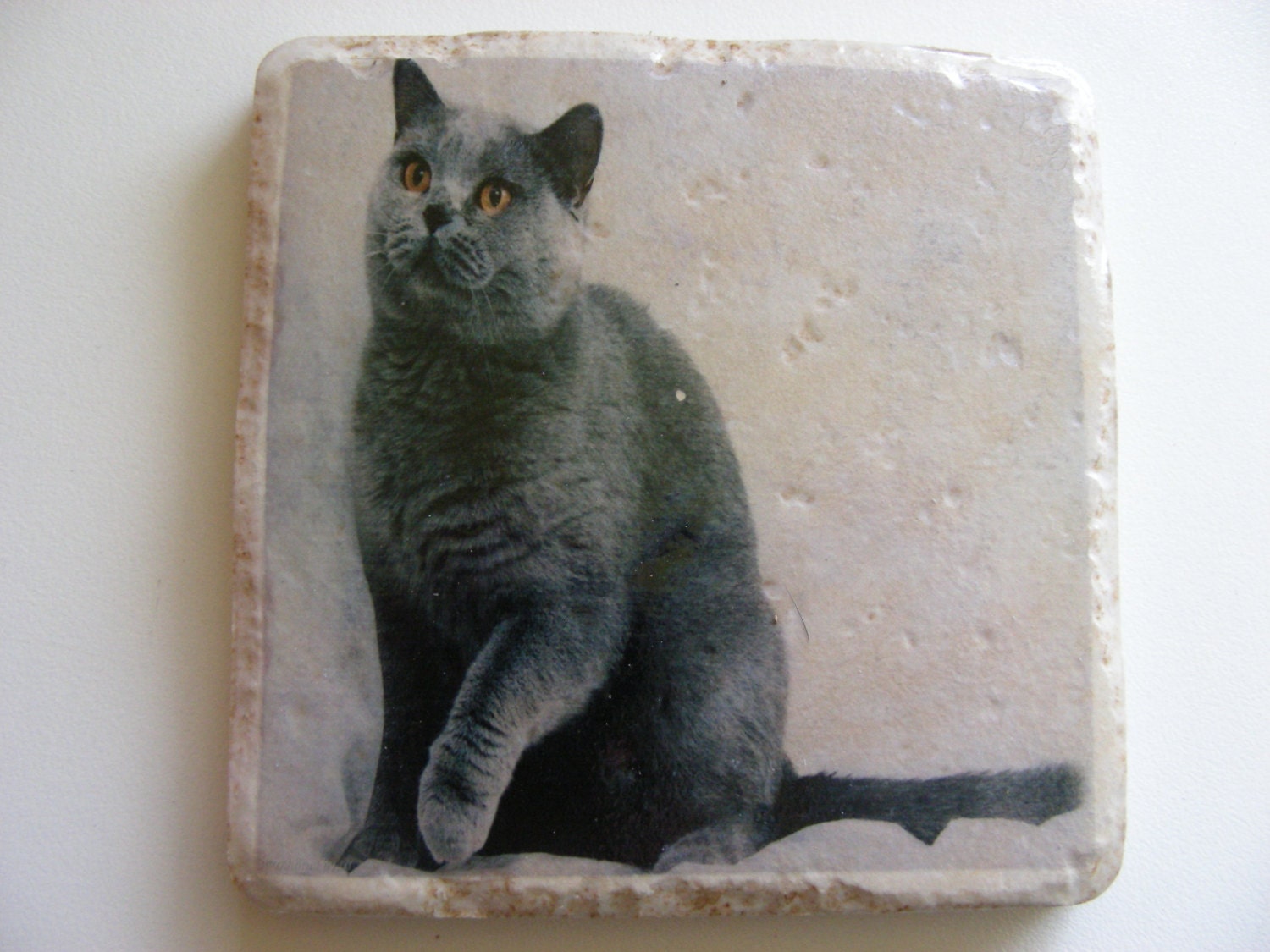 Cat Ceramic Tile Coasters by PostItTile on Etsy