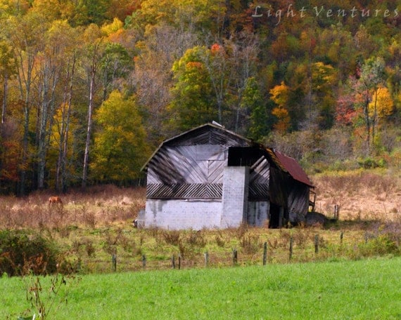 Items similar to Nature photography - Rustic Country - Fine art - Home ...