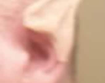 LARP Latex Prosthetic - Pointed Ears