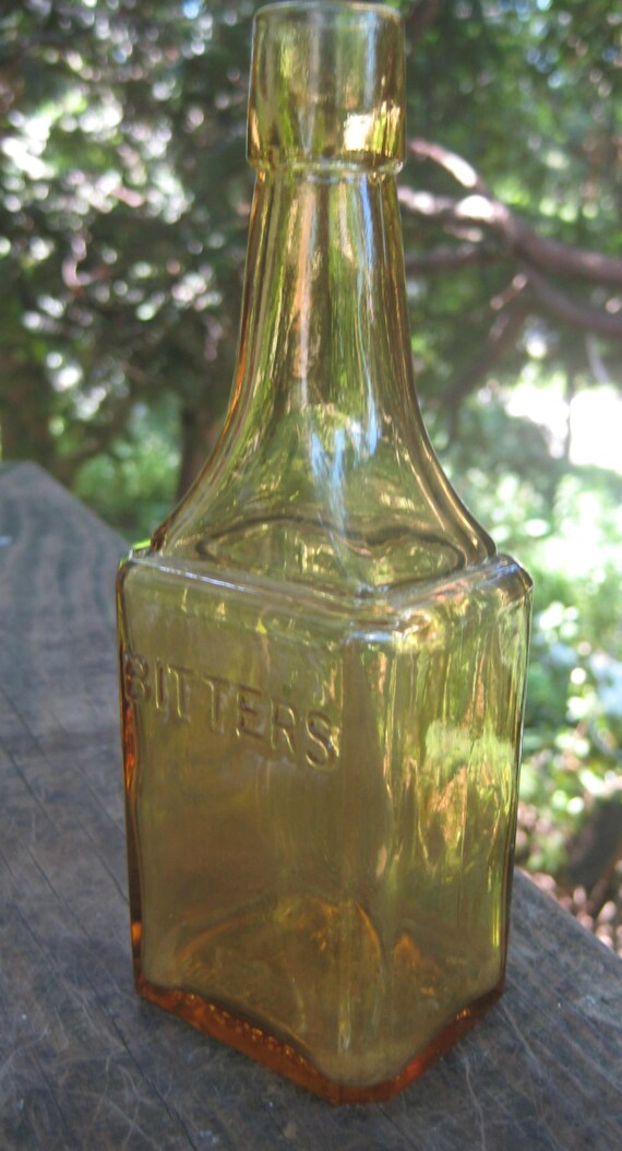 Wheaton Bitters Bottle Amber Antique by WildlifeGardenerArt
