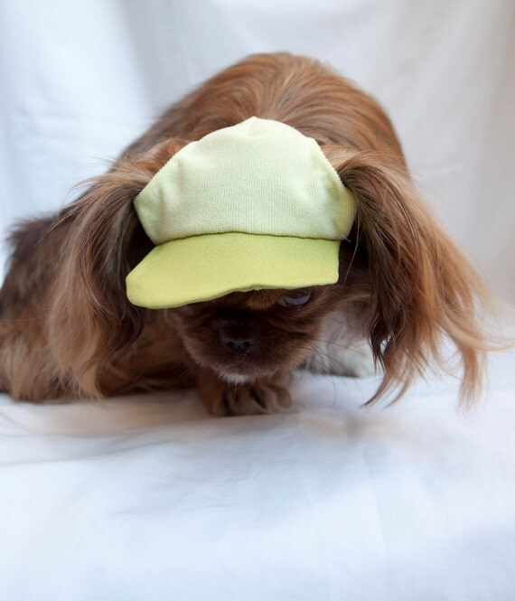 Items similar to Green sun protection summer hat for small dogs free