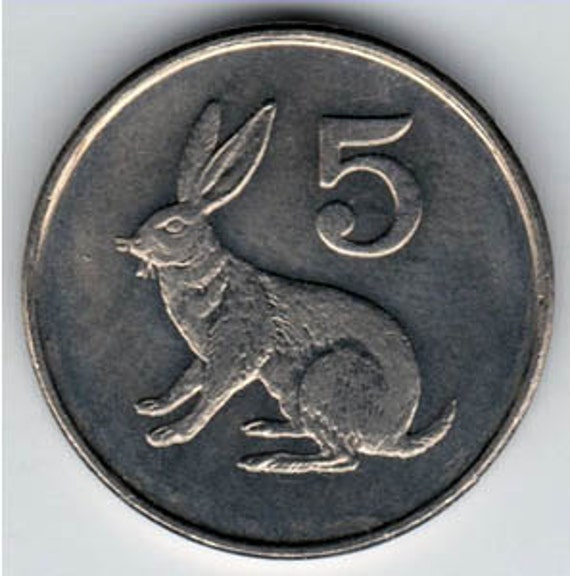 Coin Connoisseur Rabbit coin from Zimbabwe KM2 5 cents