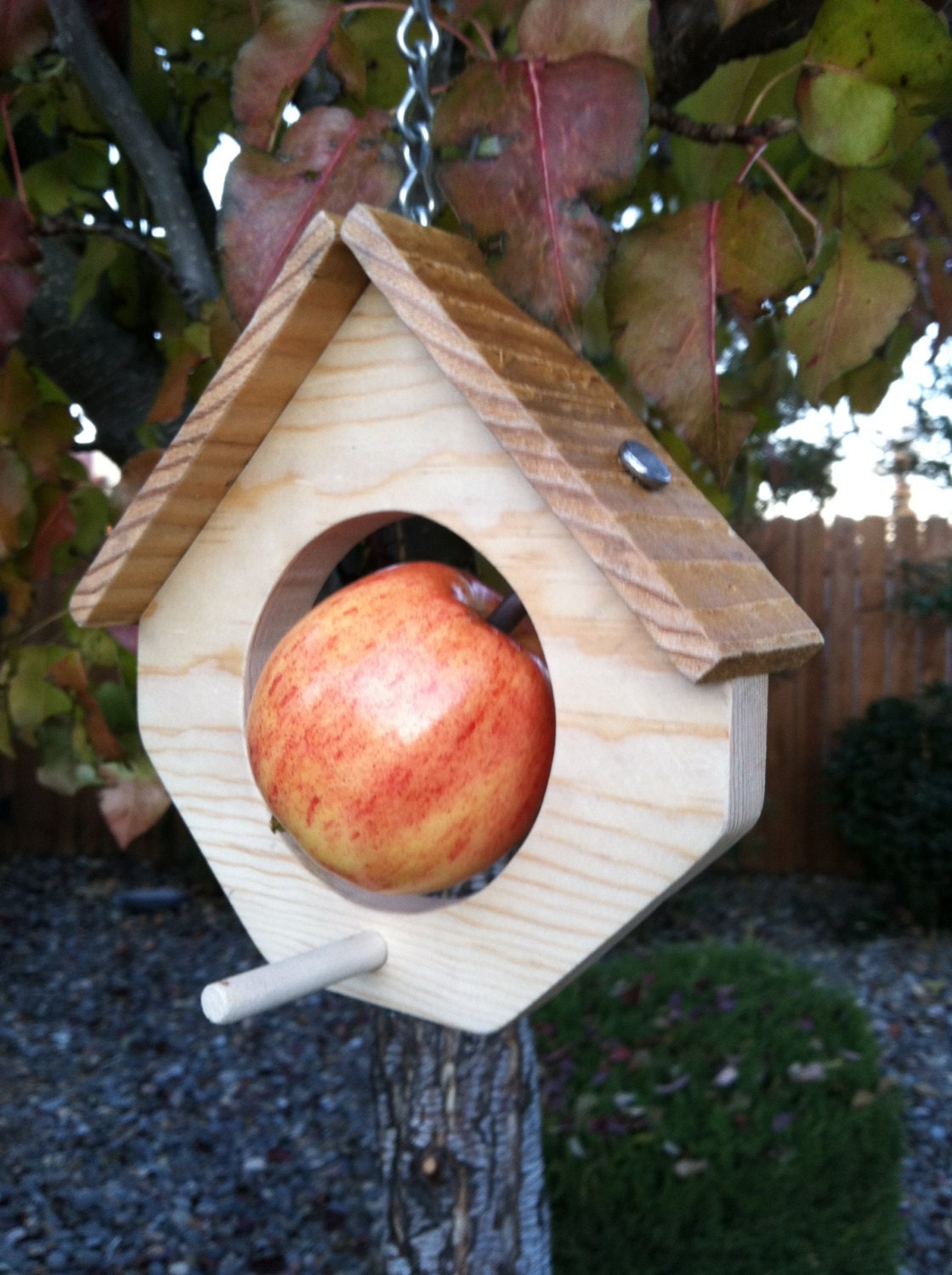 Bird house bird feeder Fruit feeder Natural bird feeder