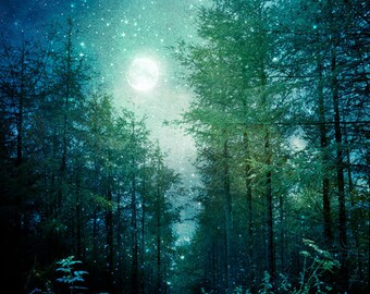 Nature Photography, Enchanted Forest, Trees, Moon and Stars, Fine Art print, Home Decor.
