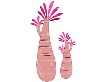 Popular items for palm tree clip art on Etsy