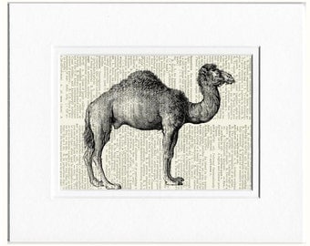 camel dictionary page print