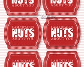 Valentine PRINTABLE 'I'm Totally Nuts About You' DIY Valentine Tag by Love The Day Il_170x135
