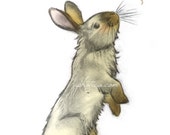 rabbit and butterfly 8x10 original art print