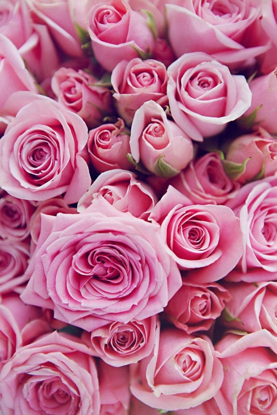 Items similar to Pink Roses, Rose Bouquet, Flower Photograph, Pink ...