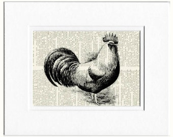 rooster dictionary page print