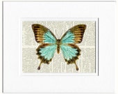 butterfly - vintage butterfly aqua blue and brown - printed on page from old dictionary